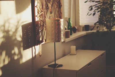 Potted plant on table at home