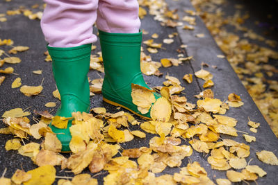 Green rubber boots in yellow leaves