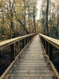 Wooden footbridge along trees in forest