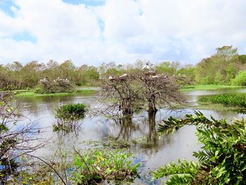 Scenic view of lake against sky