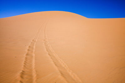 Jeep tracks on a trail at coral pink sand dunes state park, utah.