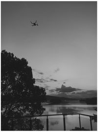Airplane flying in sky