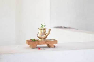 Plant in metallic jar over white background