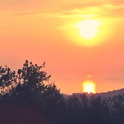 Silhouette trees against sky during sunset