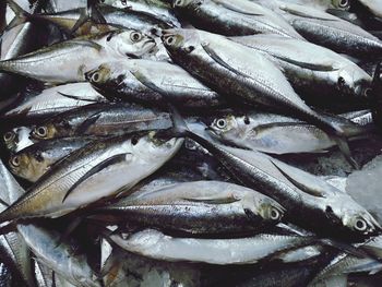 High angle view of fish for sale in market