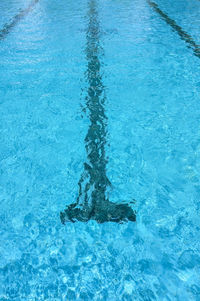 Low section of turtle swimming in pool