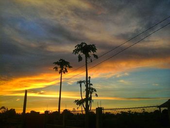 Silhouette palm trees on landscape against dramatic sky