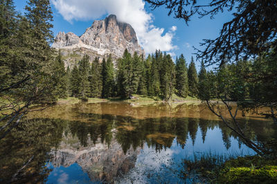 Scenic view of lake by trees against sky