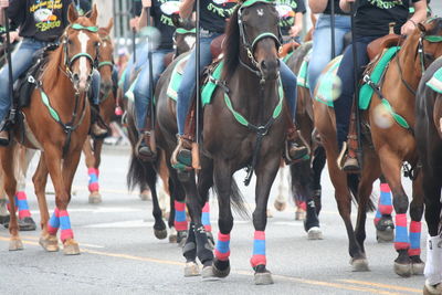 Low section of people riding horses during fourth of july parade