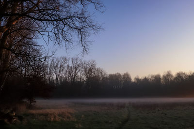 Bare trees on field against sky during sunset