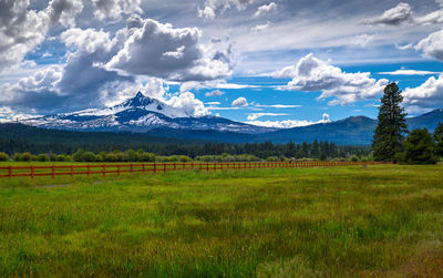 Scenic view of field against sky