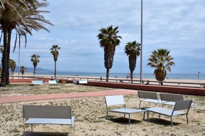 Palm trees by swimming pool at beach against sky