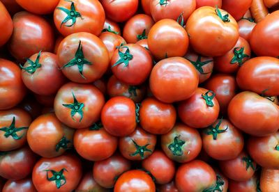 Pile of fresh red tomatoes on market stall for sale.