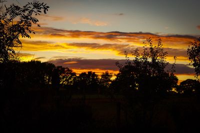 Silhouette trees on field against orange sky