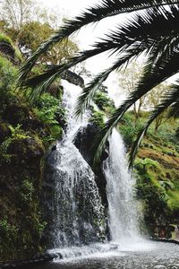 Scenic view of waterfall in forest