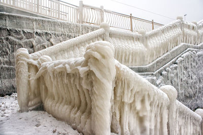 View of a horse on snow covered railing
