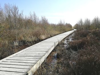 View of footpath by bare trees against sky