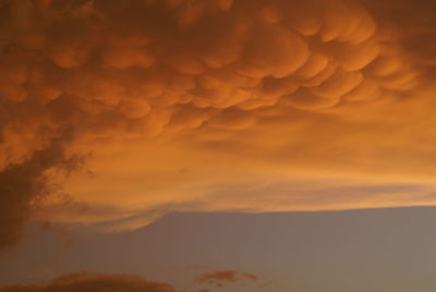 Low angle view of orange sky