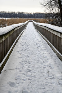 Low angle view of wooden boardwalk hiking trail through the winter marsh