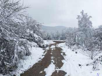 Snow covered land and trees against sky