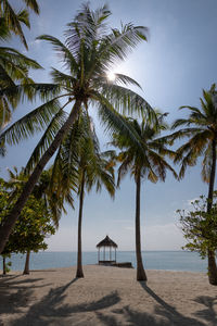 Palm trees on beach against sky