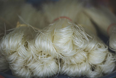 Close-up of white candies hanging