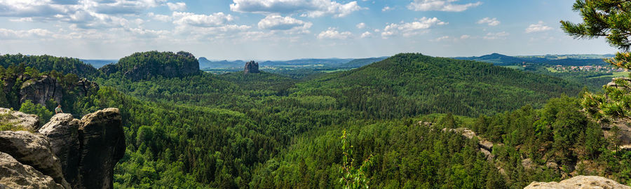 Panoramic view of trees and mountains against sky