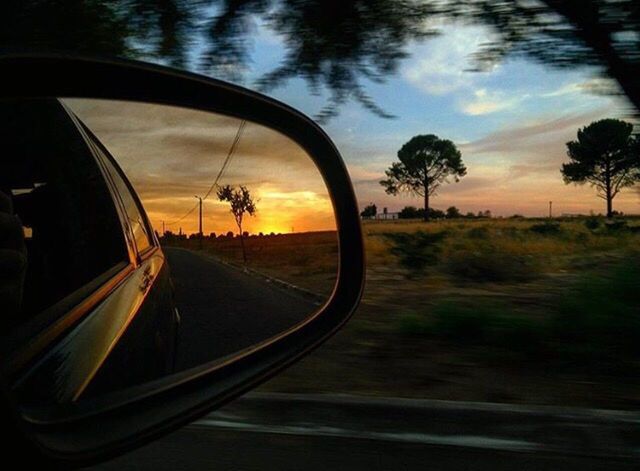 tree, transportation, sky, sunset, cloud - sky, side-view mirror, no people, land vehicle, nature, road, day, outdoors, beauty in nature, close-up