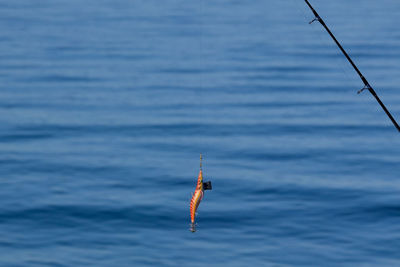 Man fishing in sea