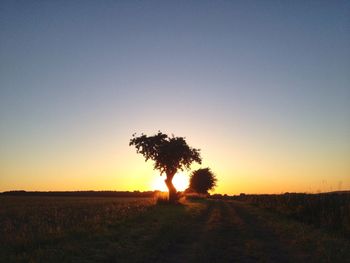 Scenic view of landscape at sunset