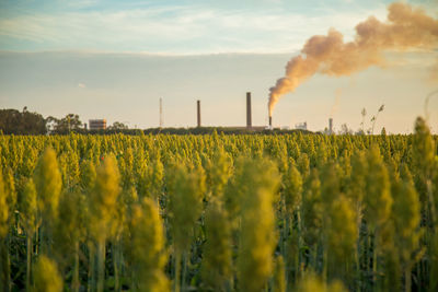 Smoke emitting from chimney on field against sky