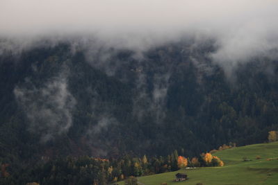 Scenic view of trees against sky during foggy weather