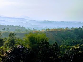 Scenic view of landscape against sky