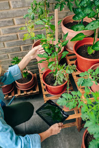 Low section of man holding potted plant