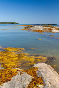 Scenic view of sea against clear blue sky