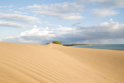 Sand dunes in a desert