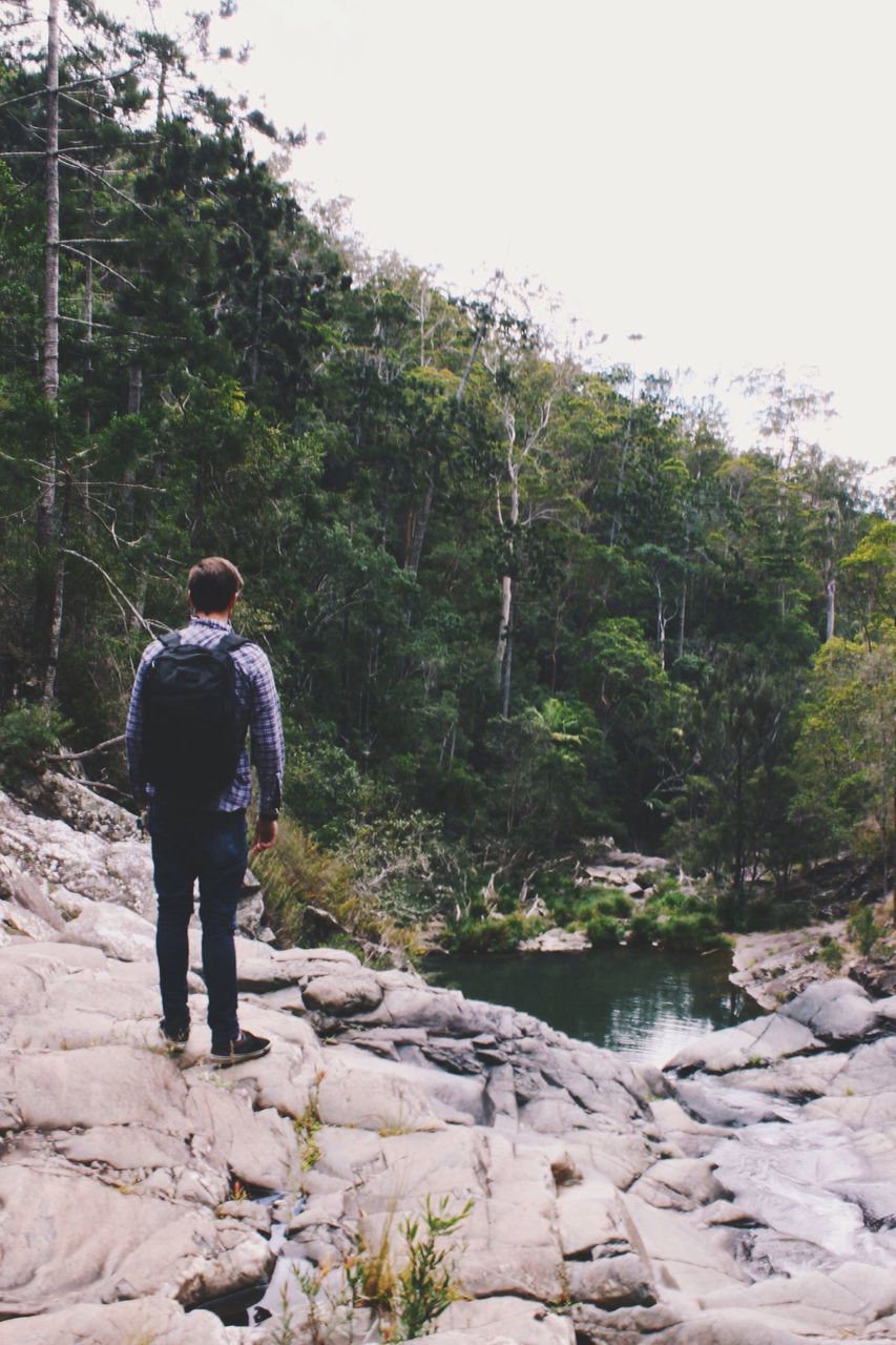 lifestyles, full length, tree, leisure activity, rear view, standing, casual clothing, rock - object, men, nature, tranquility, beauty in nature, person, tranquil scene, walking, day, forest, outdoors