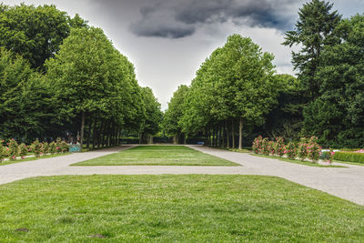 Trees in park against sky