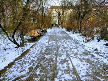 Snow covered road amidst trees in forest