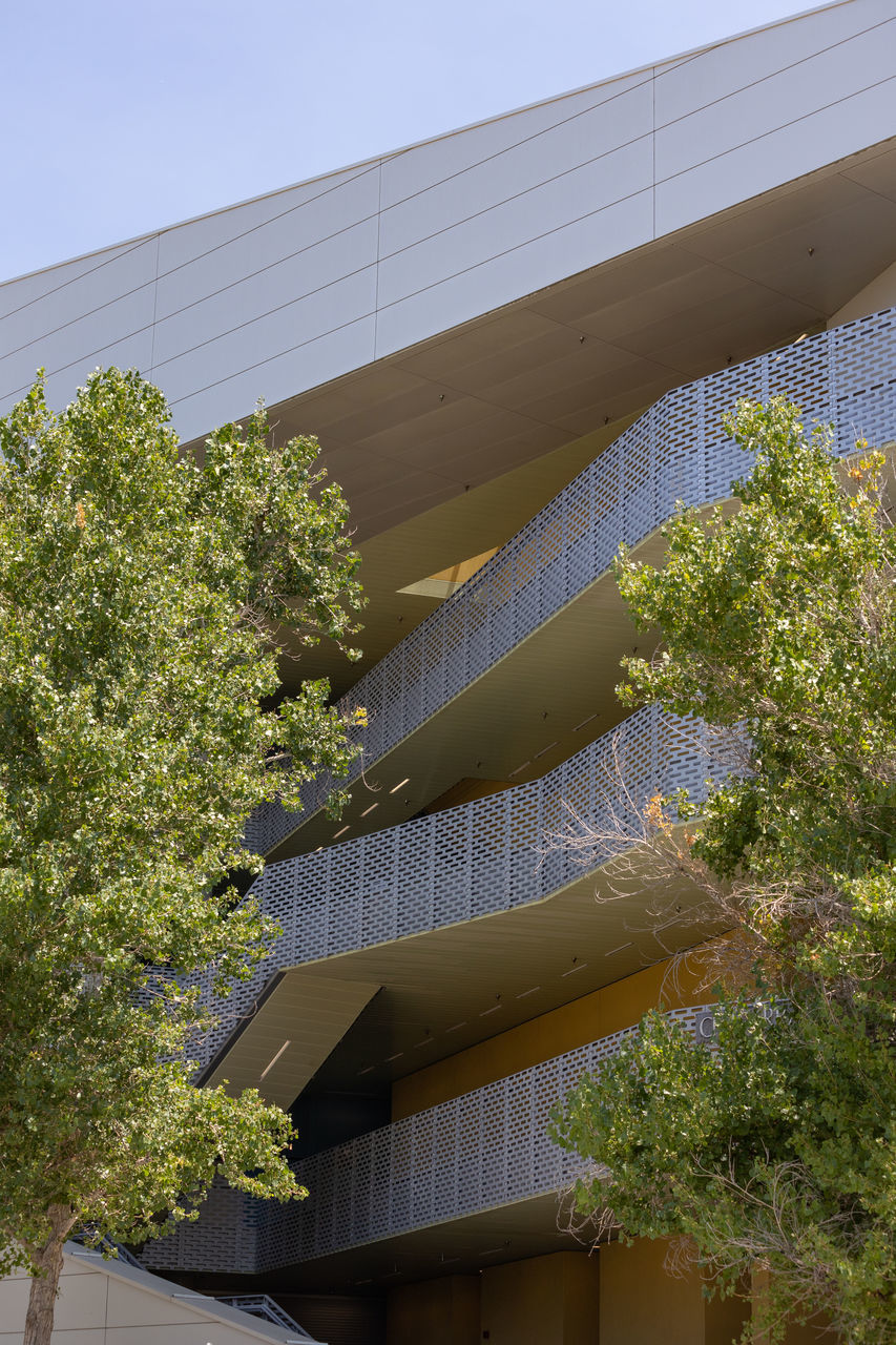 architecture, built structure, building exterior, plant, building, tree, nature, facade, city, house, sky, growth, no people, day, outdoors, office, office building exterior, low angle view, business, residential district, finance, urban area, roof, residential area