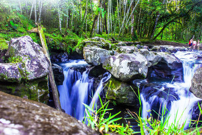 Stream flowing through rocks in forest