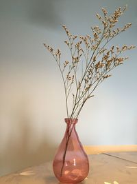 Close-up of dry plant in glass jar