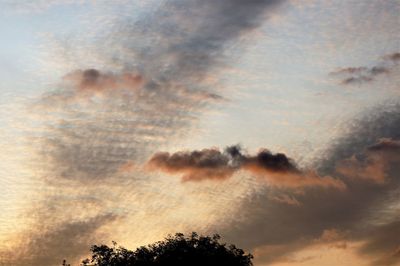 Low angle view of tree against dramatic sky