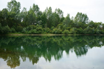 Reflection of trees in lake against sky in forest