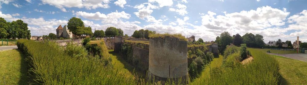Panoramic shot of trees on field against sky