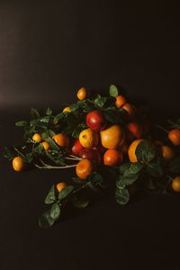 Close-up of fruits on table against black background