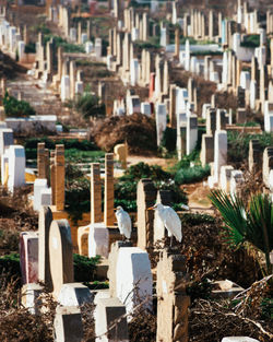 High angle view of cemetery against buildings