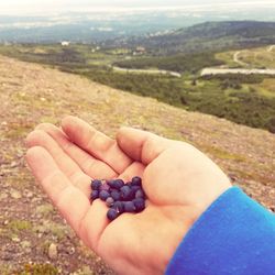 Close-up of hand holding grapes over landscape