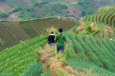 Rear view of people on agricultural field