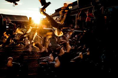 People at town square during sunset